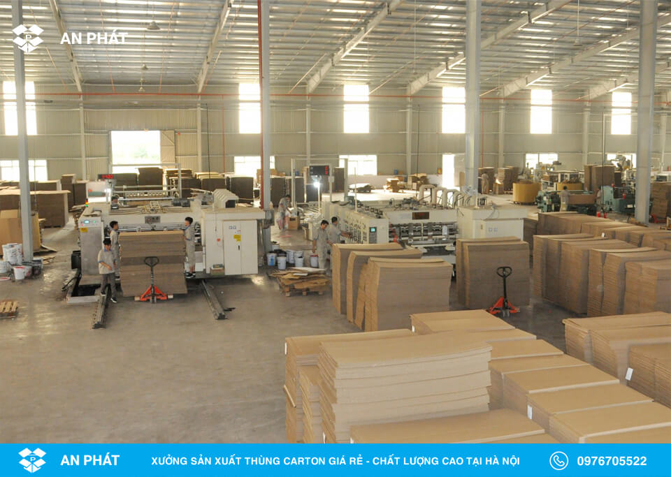 Carton An Phát